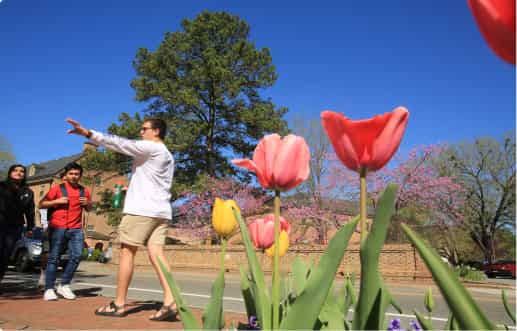 Life at William & Mary